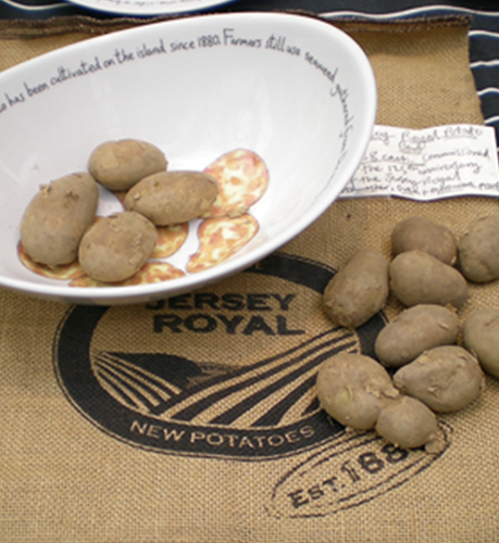 Jersey Royal Potatoes